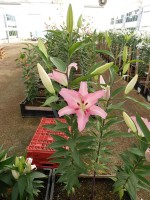 [4203 Marrero CT No01.JPG]